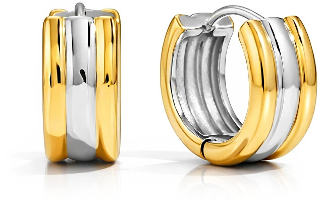 Troli Round bicolor steel earrings VJDE0306081-PS