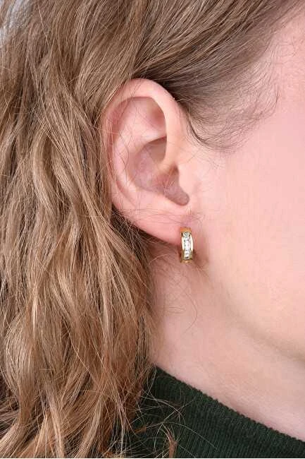 Troli Plieniniai auskarai žiedai su kristalais