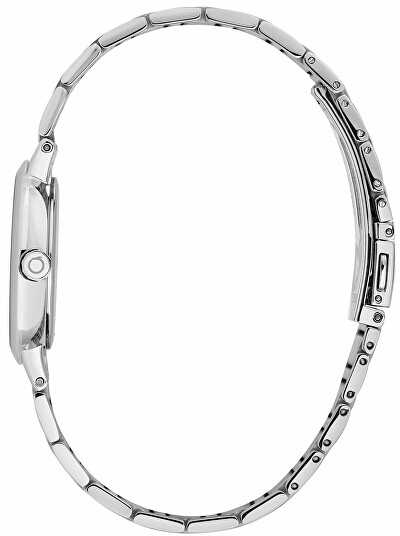 Laikrodis TRUSSARDI modelis R2453171509