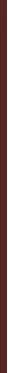 Dior Addict Lip Maximizer lūpas putlinantis blizgis, spalva: 020 Mahogany, 6 ml
