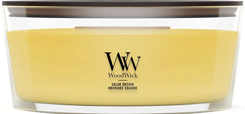Woodwick Saulės orchidėja