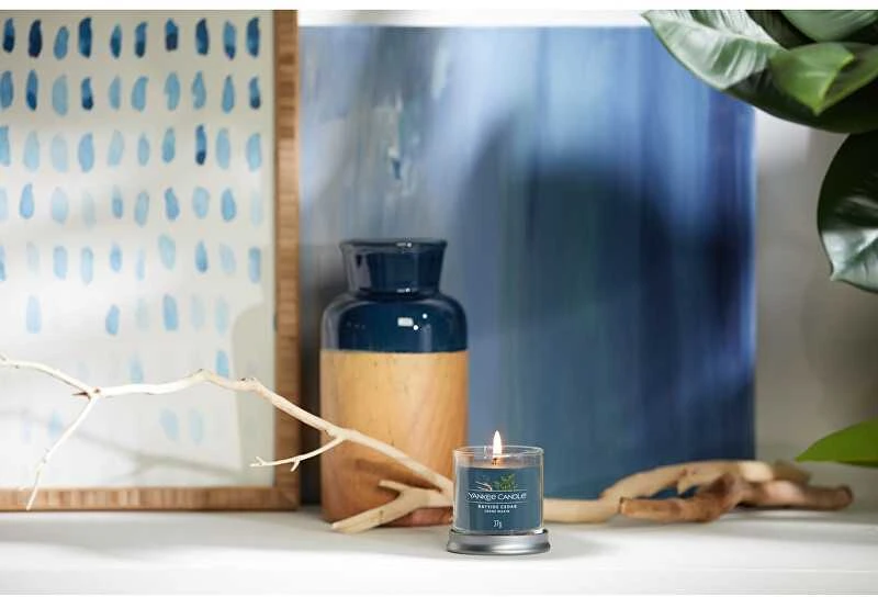Yankee Candle Bayside Cedar 122 g