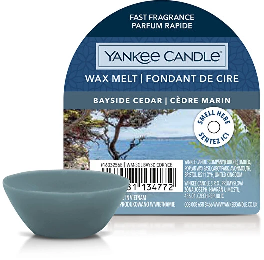 Yankee Candle Bayside Cedar 22 g