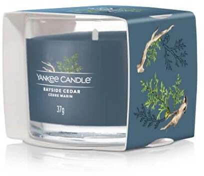Yankee Candle Bayside kedro kvapioji žvakė, 37 g