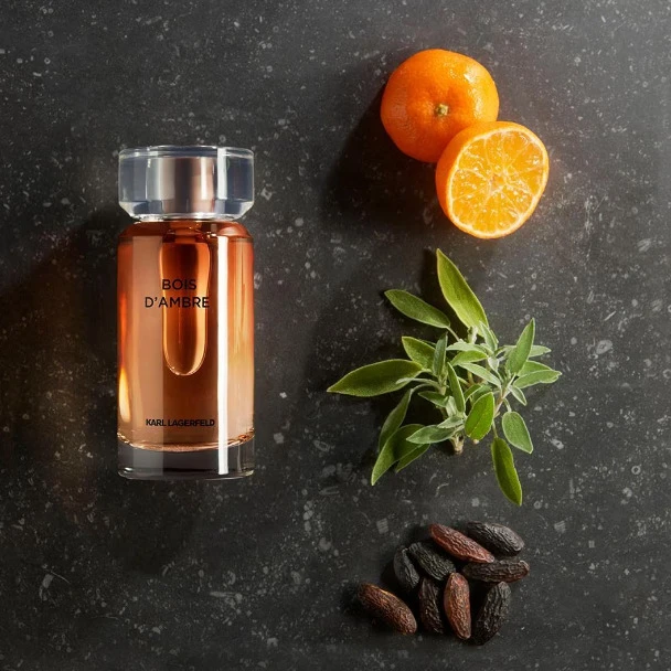 Karl Lagerfeld Bois D'Ambre EDT tualetinis vanduo vyrams, 50 ml aprašymas - Prekės nuotrauka