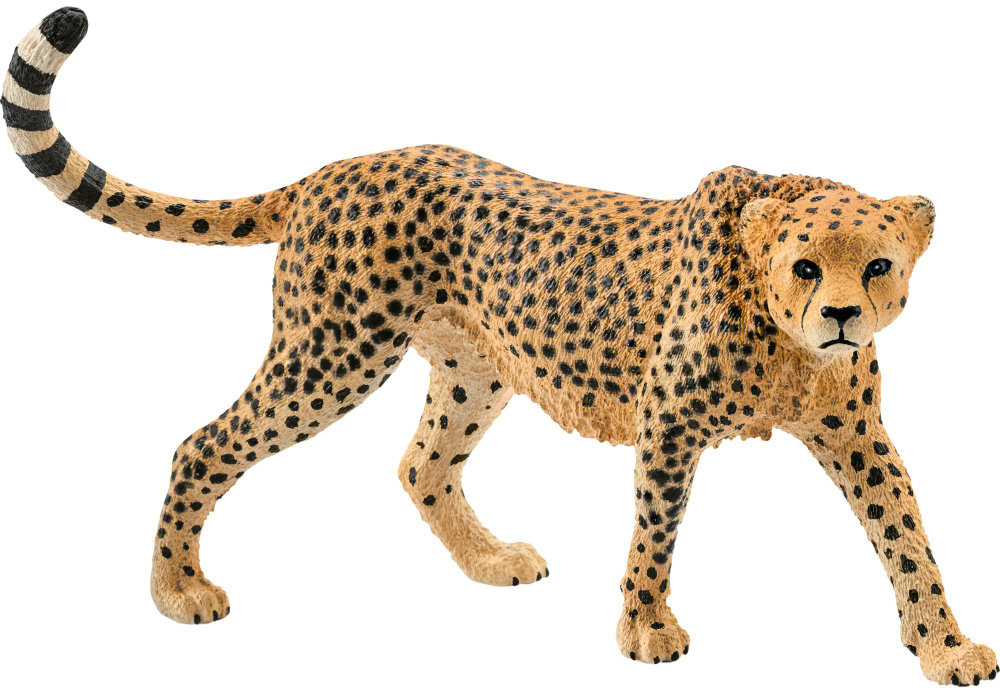Schleich figūrėlė Gepardas aprašymas - Prekės nuotrauka
