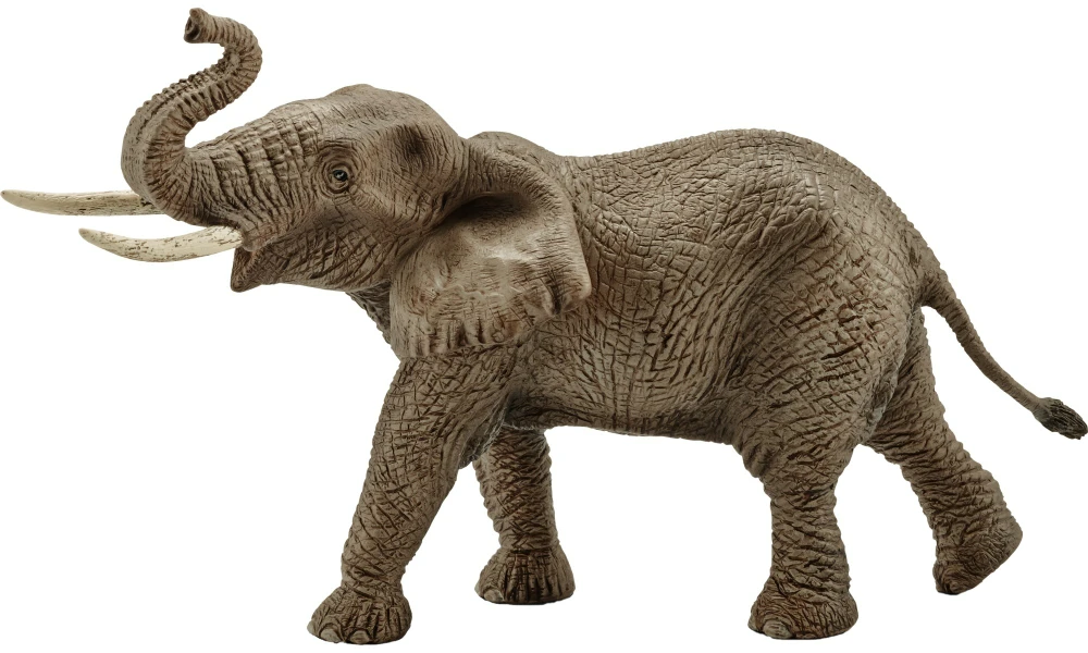 Schleich figūrėlė Afrikinis dramblys aprašymas - Prekės nuotrauka
