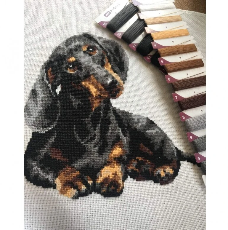 Taksas 25x25 cm