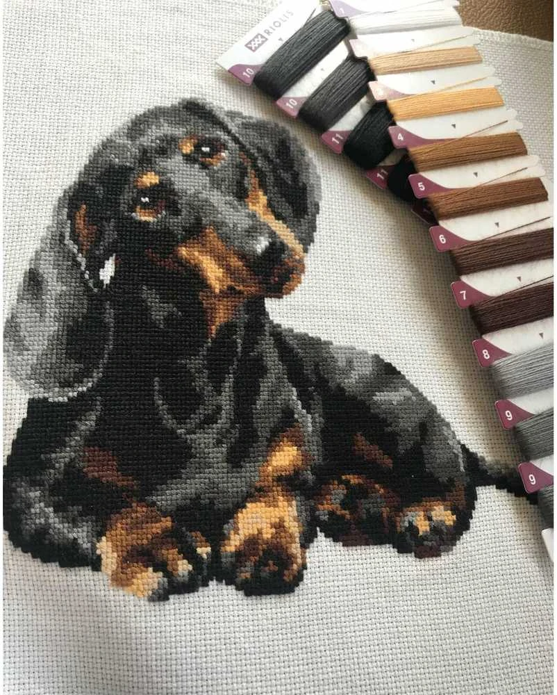 Riolis Taksas 25x25 cm