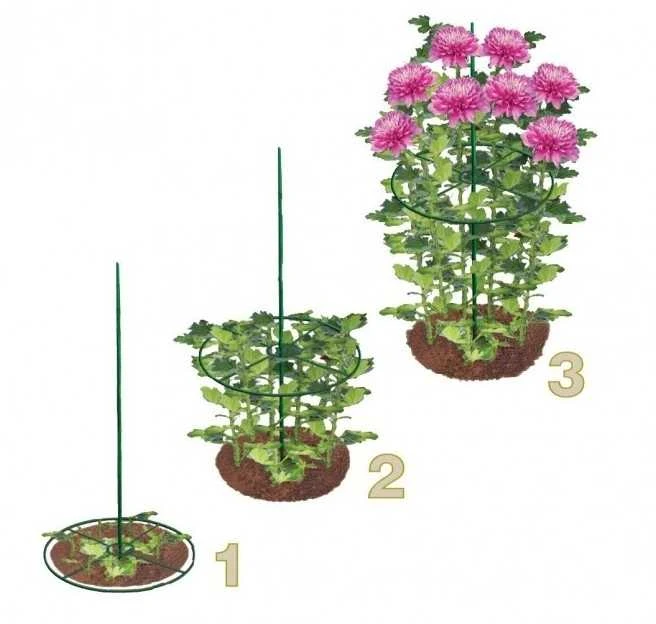 Garland Apvali gėlių atrama 40 cm (2 vnt.)
