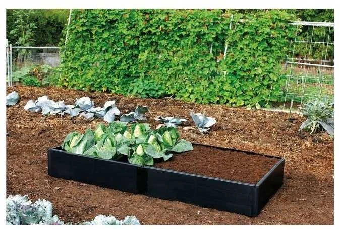 Pakeltos lysvės "Grow" prailginimas