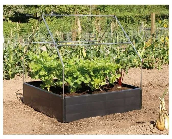 Rėmas pakeltai lysvei "Grow"
