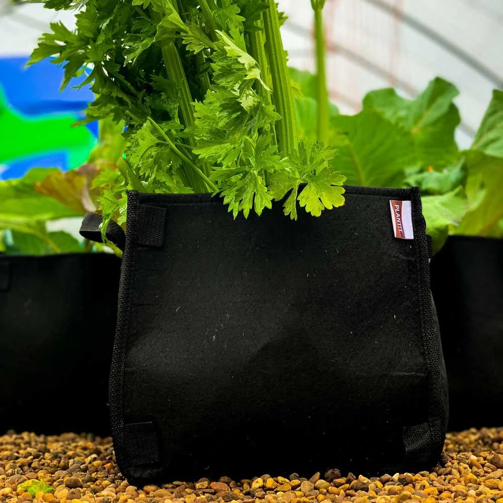 Veltinis „Dirt pot“ vazonas 11L