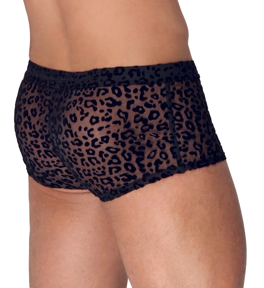 Noir M.Pants leo 2XL