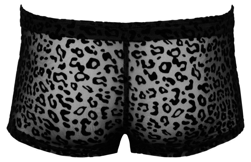 Noir M.Pants leo 2XL