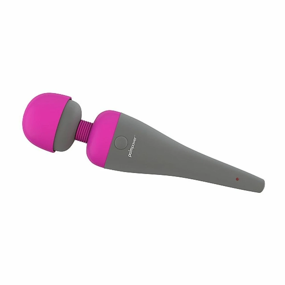 Palm Power PalmPower Massager