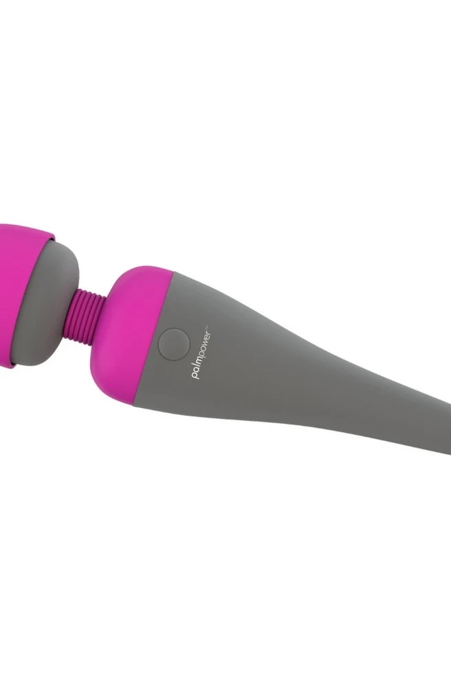 Palm Power PalmPower Massager