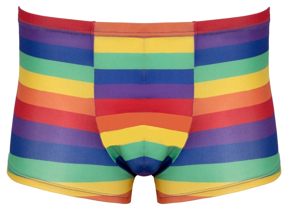 Svenjoyment Vyriškos boksininko kelnaitės Rainbow M