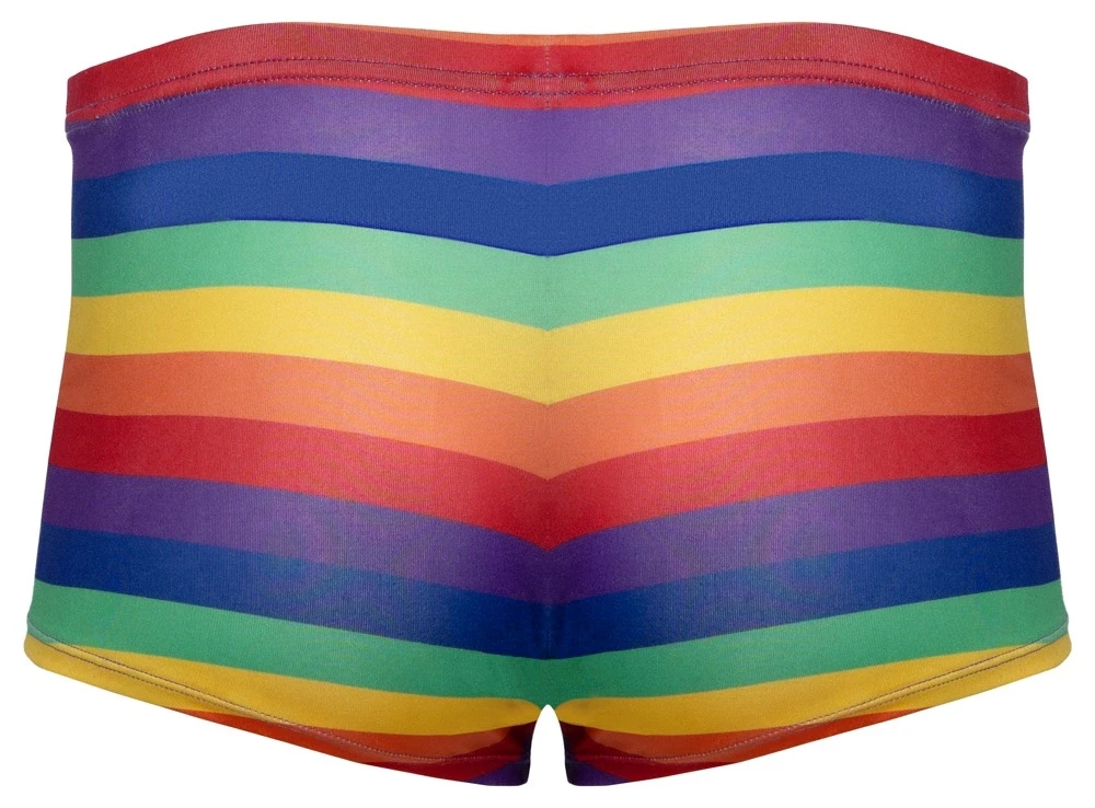 Svenjoyment Vyriškos boksininko kelnaitės Rainbow M