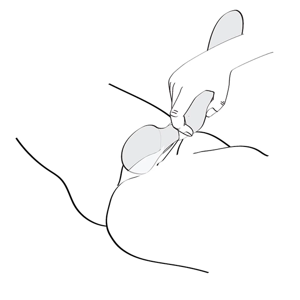 Shunga - Zoa Intimate Massager Raspberry