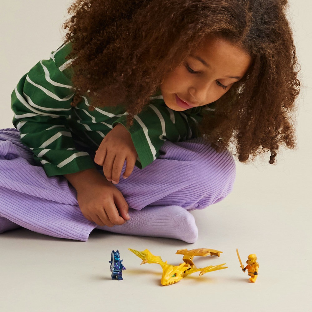 LEGO® Ninjago Arino kylančio drakono puolimas (71803)