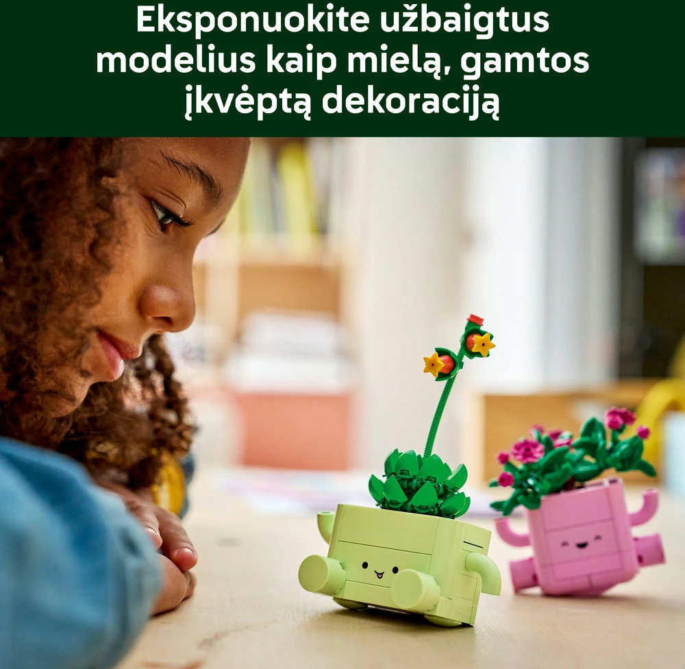 LEGO® Botanicals Besisupantys augalai Gėlių rinkinys 11506