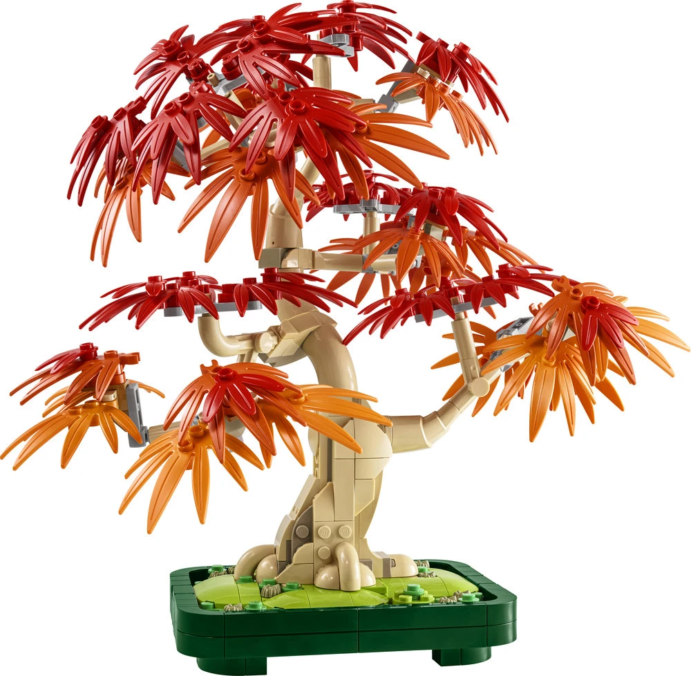 „LEGO® Botanicals“ japoninio raudonojo klevo bonsas 10348