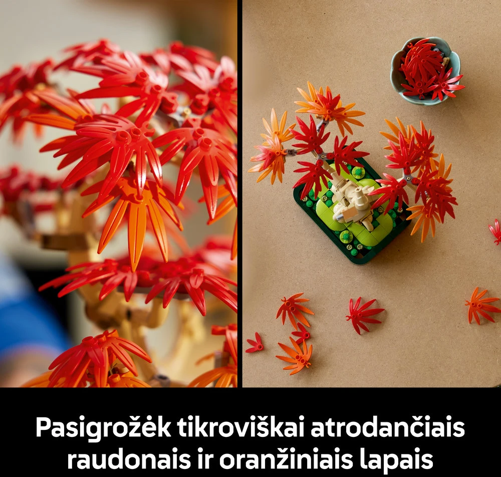 „LEGO® Botanicals“ japoninio raudonojo klevo bonsas 10348