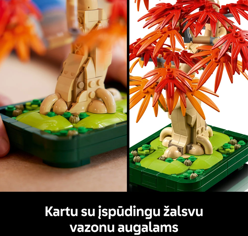 „LEGO® Botanicals“ japoninio raudonojo klevo bonsas 10348