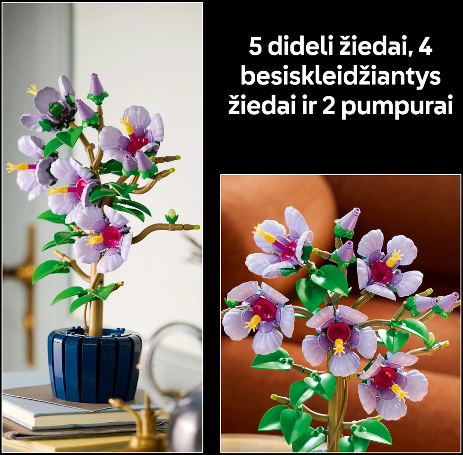 LEGO® Botanicals Kinrožė Rinkinys suaugusiesiems 10372