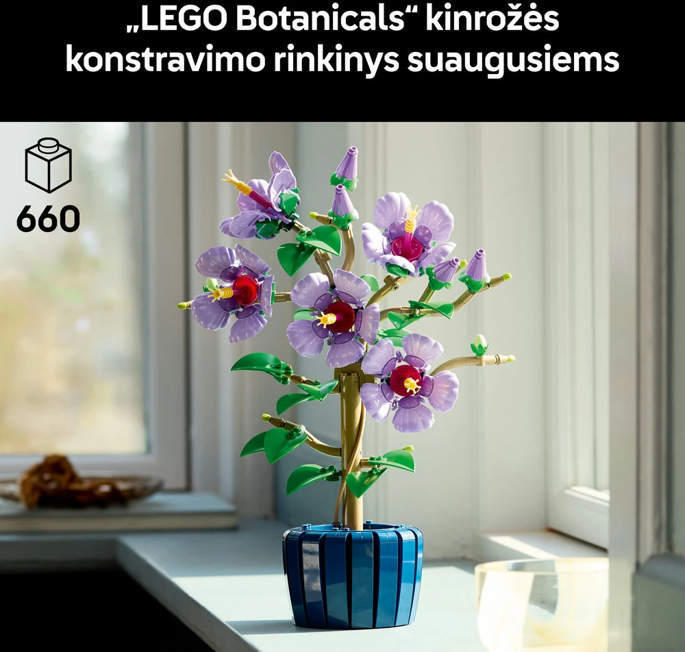 LEGO® Botanicals Kinrožė Rinkinys suaugusiesiems 10372