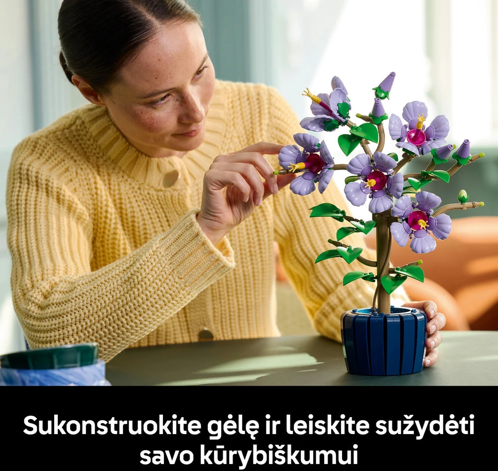 LEGO® Botanicals Kinrožė Rinkinys suaugusiesiems 10372