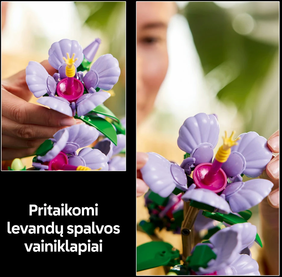 LEGO® Botanicals Kinrožė Rinkinys suaugusiesiems 10372