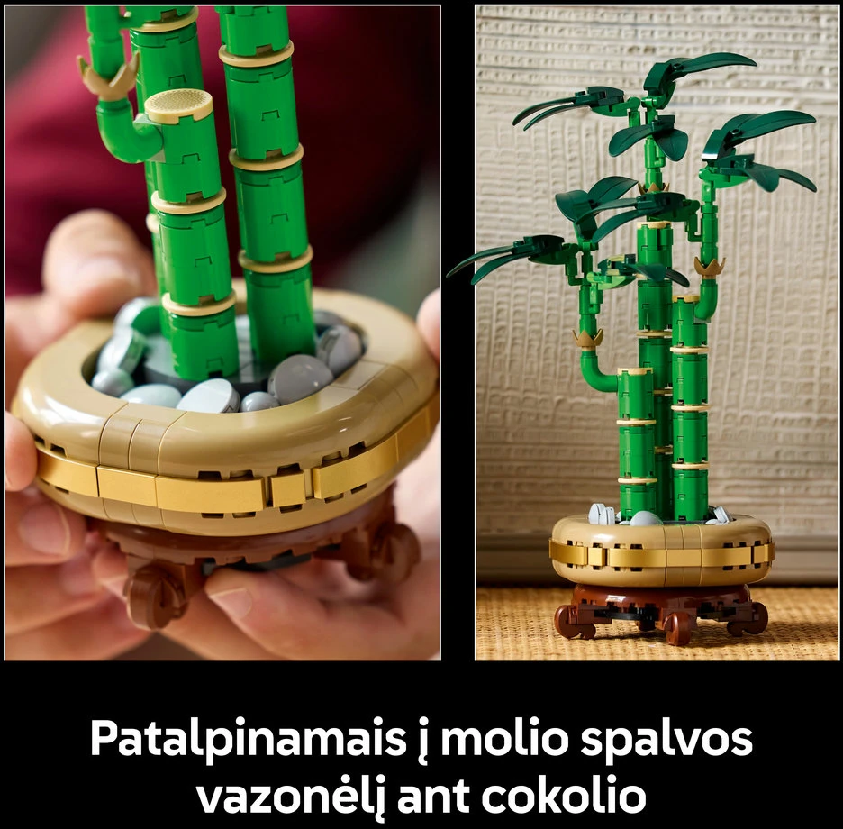 LEGO® Botanicals Laimę nešantis bambukas (10344)