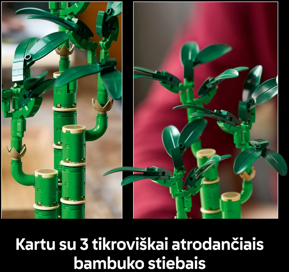 LEGO® Botanicals Laimę nešantis bambukas (10344)