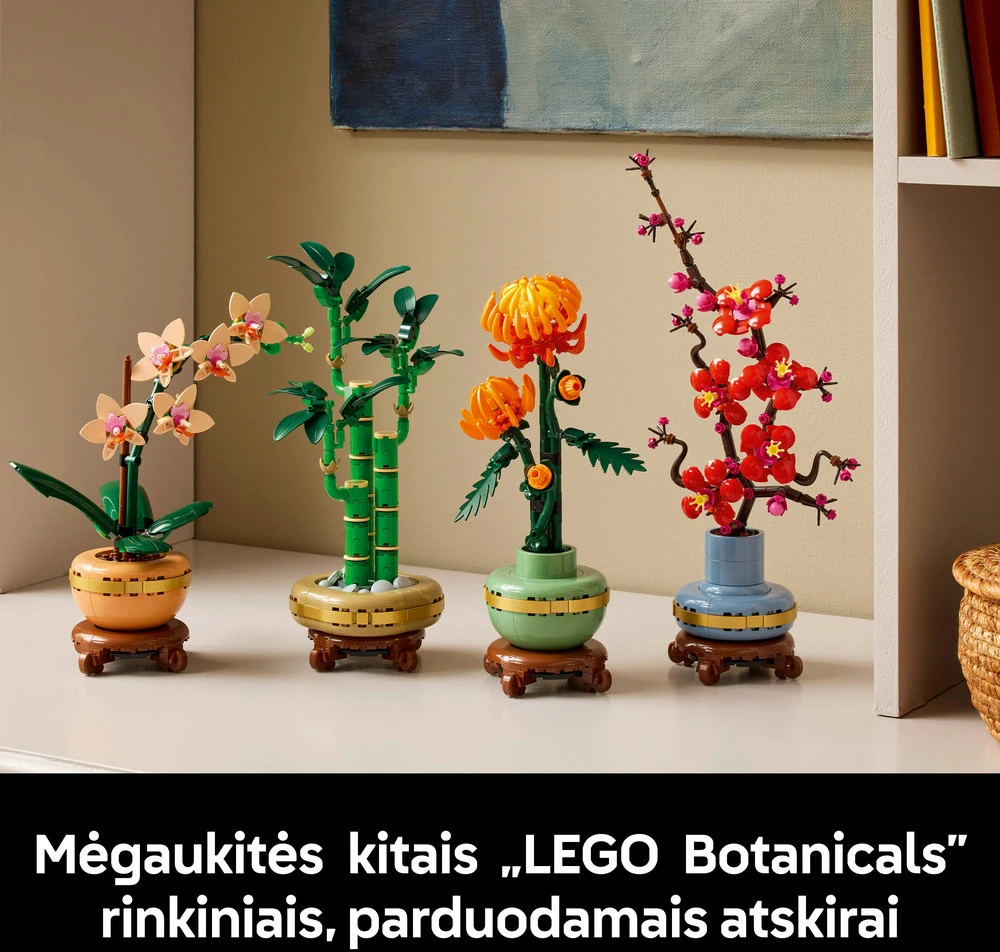 LEGO® Botanicals Laimę nešantis bambukas (10344)