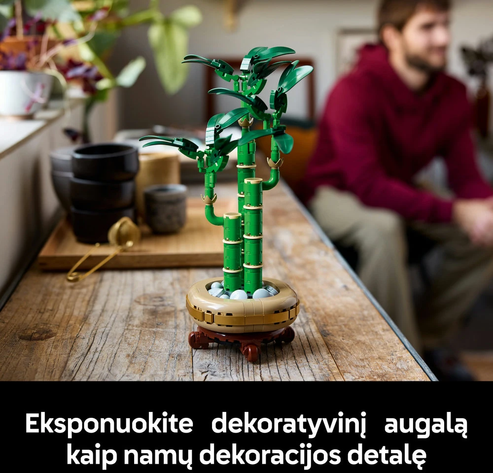 LEGO® Botanicals Laimę nešantis bambukas (10344)
