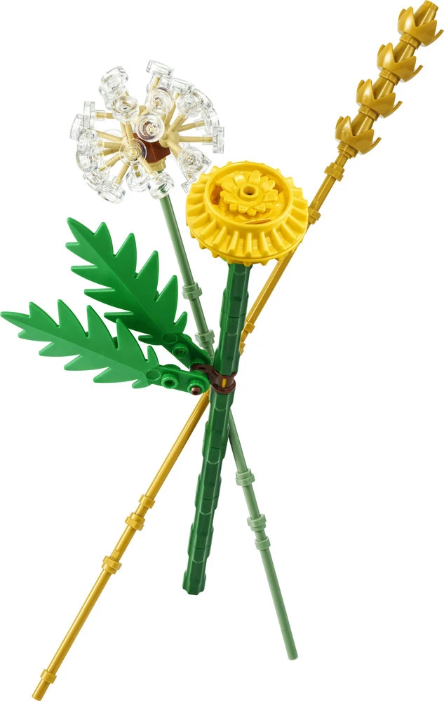 „LEGO® Botanicals“ lauko gėlės Konstravimo rinkinys 30701