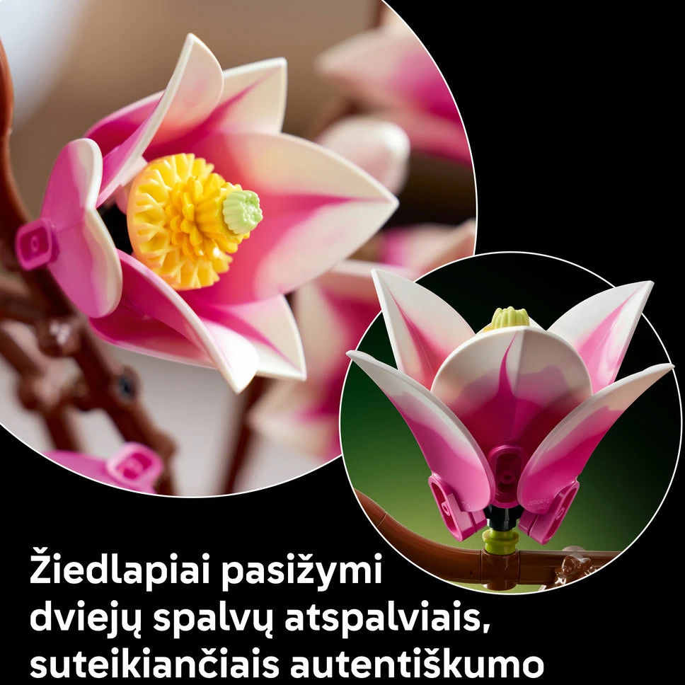 LEGO® Botanicals Magnolijos šakelės, 11510