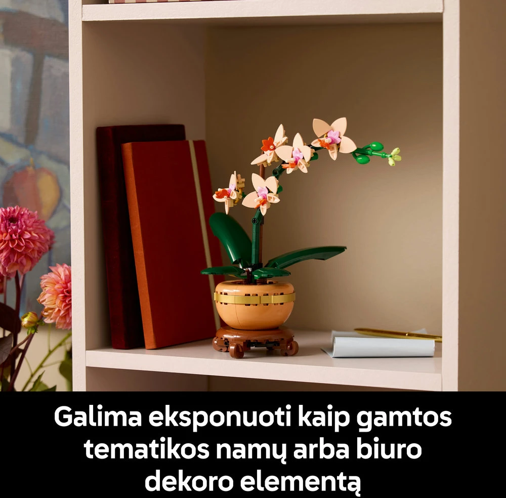 LEGO® Botanicals Mini orchidėja Augalo dovana 10343