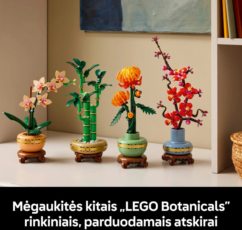 LEGO® Botanicals Mini orchidėja Augalo dovana 10343