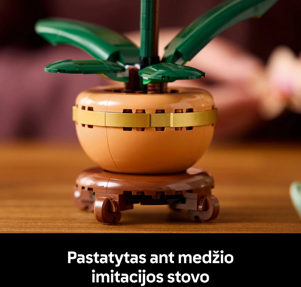 LEGO® Botanicals Mini orchidėja Augalo dovana 10343