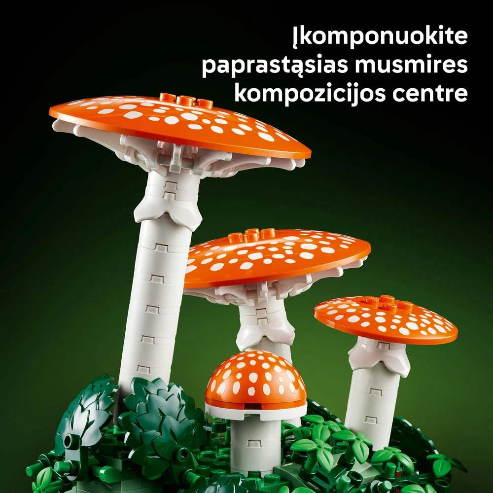LEGO® Botanicals Miško grybai Konstravimo rinkinys 11505