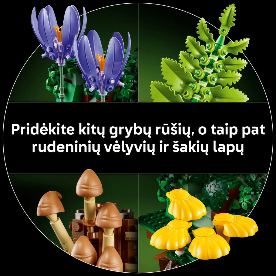 LEGO® Botanicals Miško grybai Konstravimo rinkinys 11505