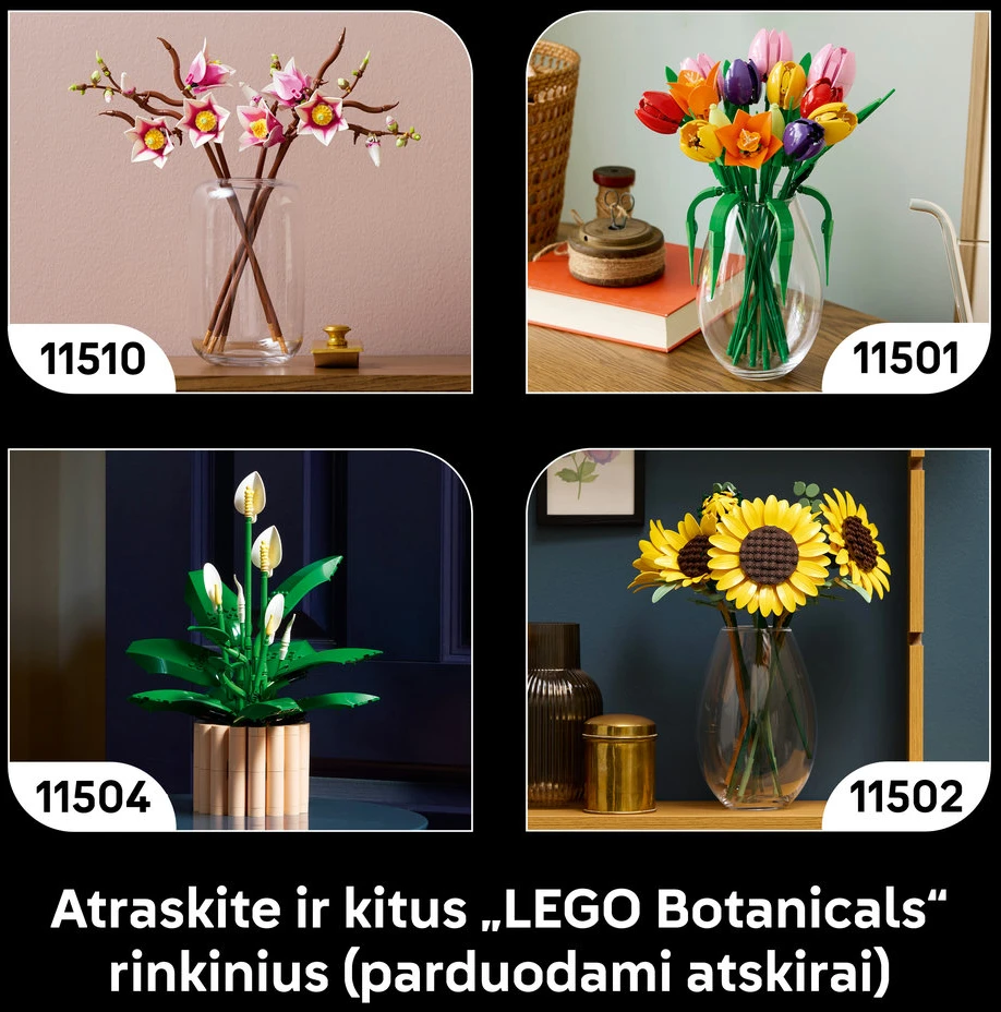 LEGO® Botanicals Miško grybai Konstravimo rinkinys 11505