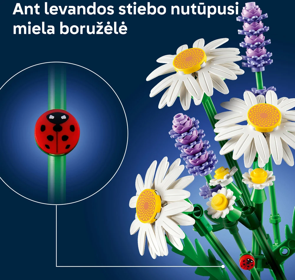 LEGO Botanicals Ramunių puokštė 11508