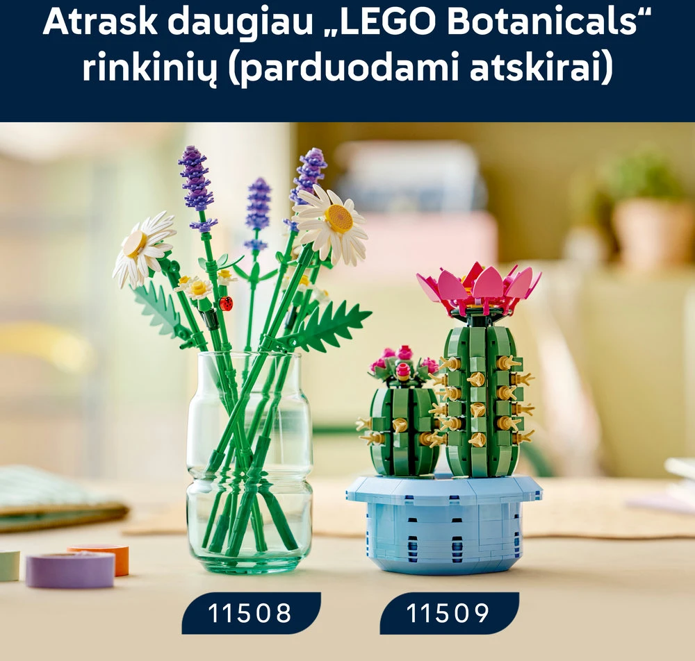 LEGO Botanicals Ramunių puokštė 11508
