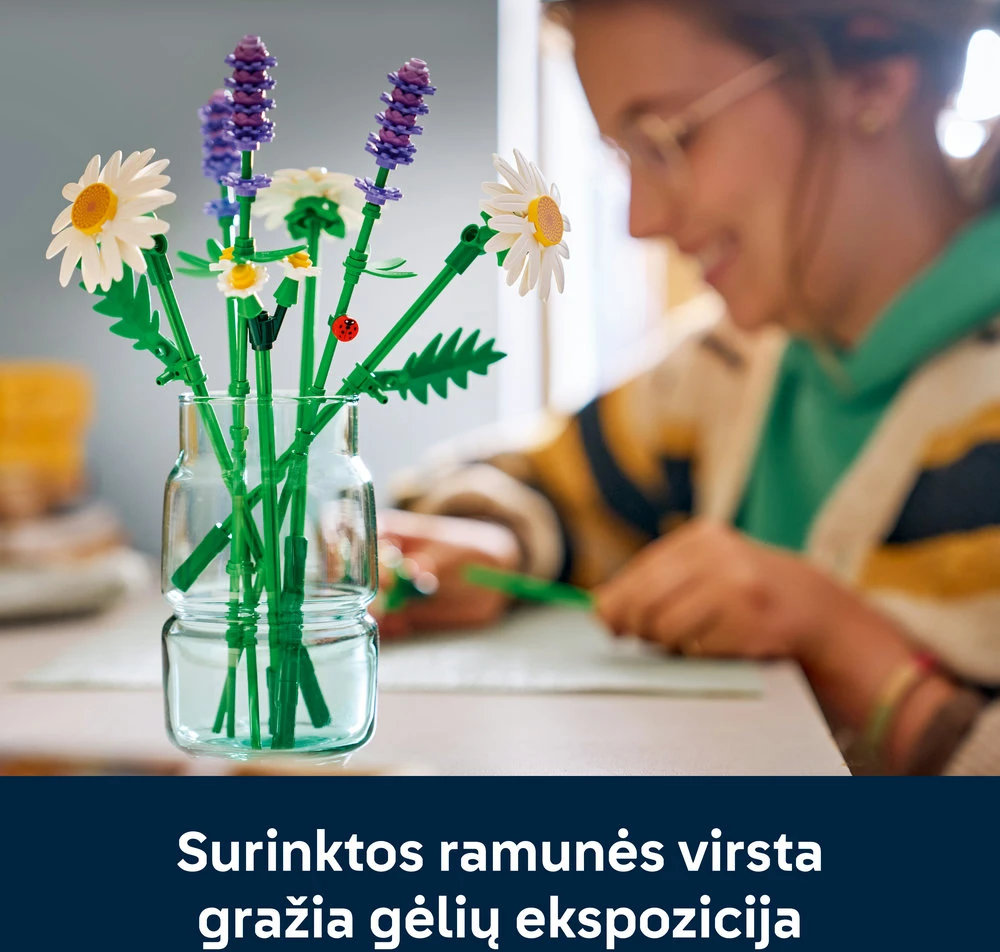 LEGO Botanicals Ramunių puokštė 11508