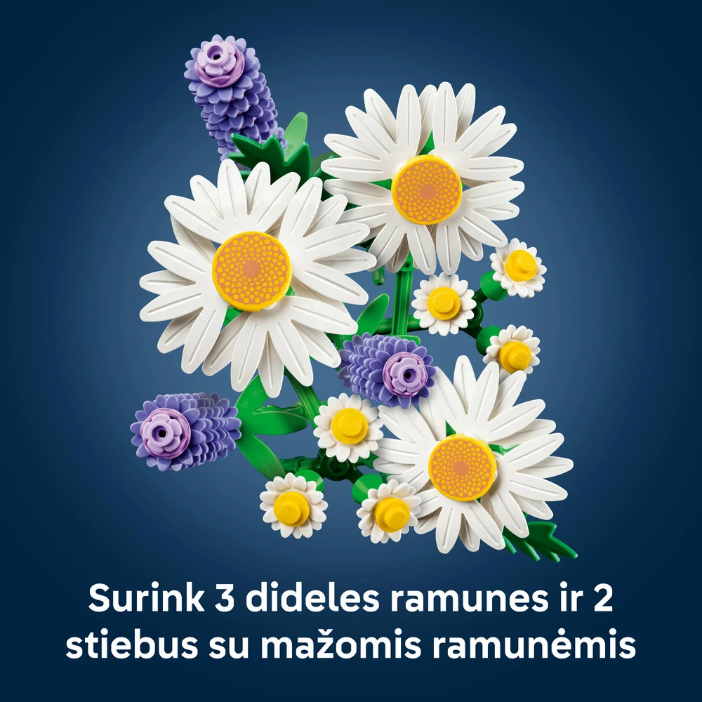 LEGO Botanicals Ramunių puokštė 11508