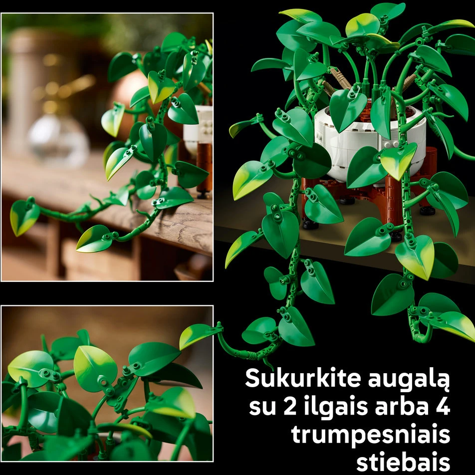 LEGO® Botanicals Svyrantis auksinis skindapas Rinkinys 11512